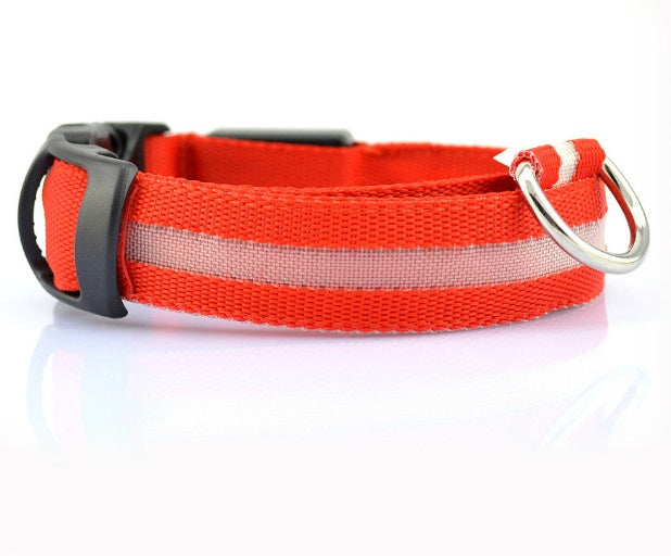 Dog Dog LED Collar Collar