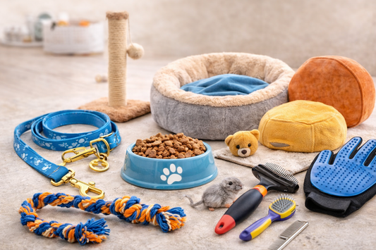 Essential Accessories Every Pet Owner Should Have