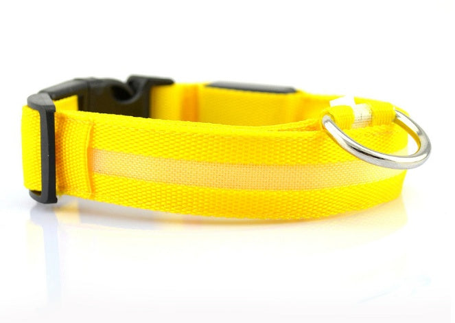 Dog Dog LED Collar Collar