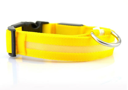 Dog Dog LED Collar Collar