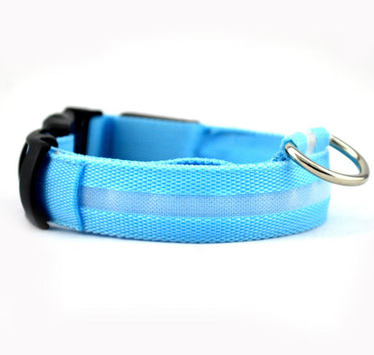 Dog Dog LED Collar Collar