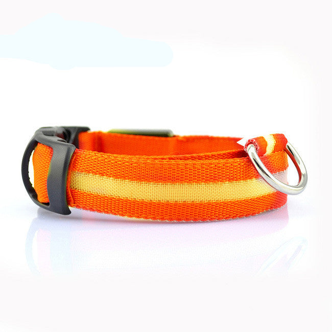 Dog Dog LED Collar Collar