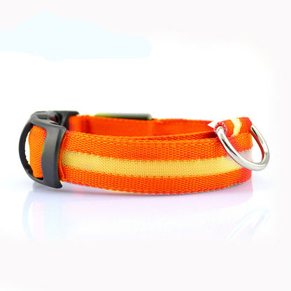 Dog Dog LED Collar Collar