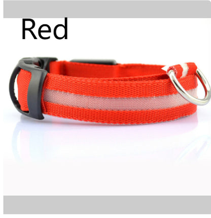 Dog Dog LED Collar Collar