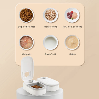 Automatic Pet Feeder Smart Pet Feeder For Cats Dogs Timer Stainless Steel Bowl Auto Dog Cat Pet Feeding