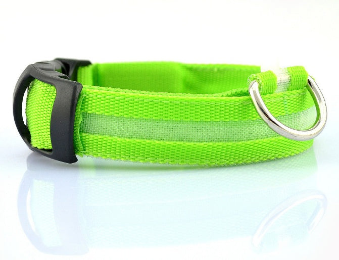 Dog Dog LED Collar Collar