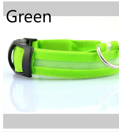 Dog Dog LED Collar Collar