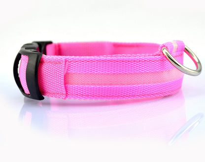 Dog Dog LED Collar Collar