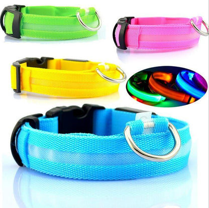 Dog Dog LED Collar Collar