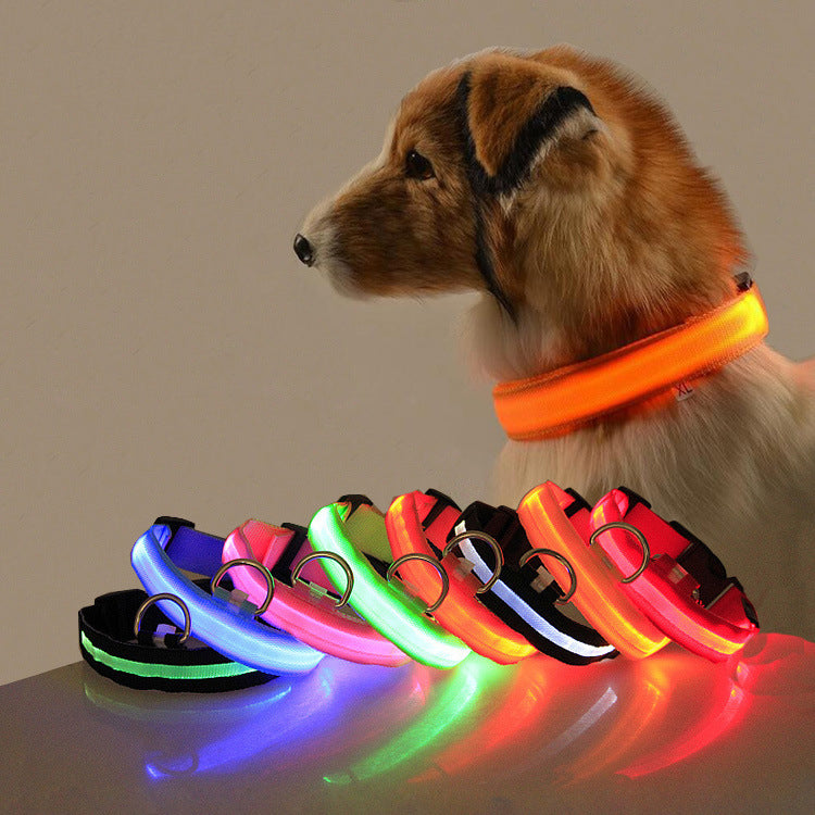 Dog Dog LED Collar Collar