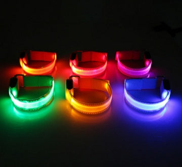 Dog Dog LED Collar Collar