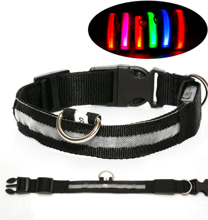 Dog Dog LED Collar Collar